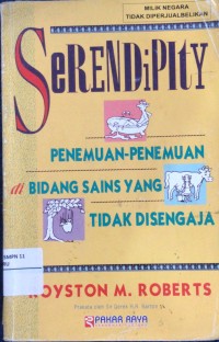Image of Serendipity