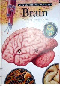 Image of Under The Microscope Brain