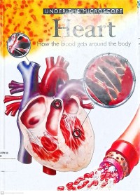 Image of Under The Microscope Heart