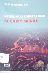 Image of Memelihara Lobster Hias Si Capit Merah