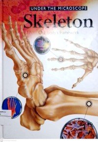 Image of Under The Microscope Skeleton